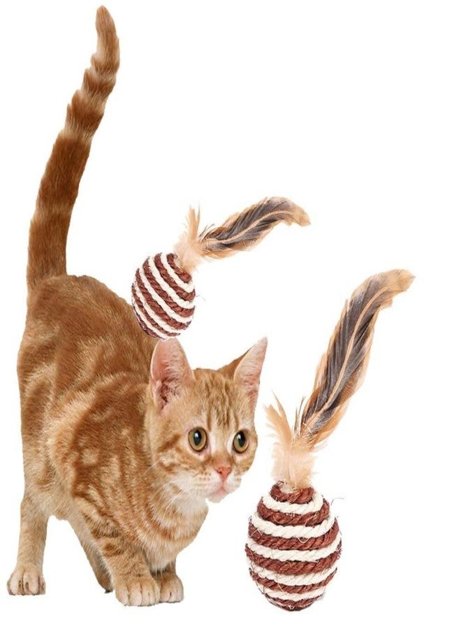 THE DDS STORE 2 Pcs Interactive Kitten Games Toys Sisal Ball Cat Training Catcher Cat Playing Toy (Color May Vary) - Image 1